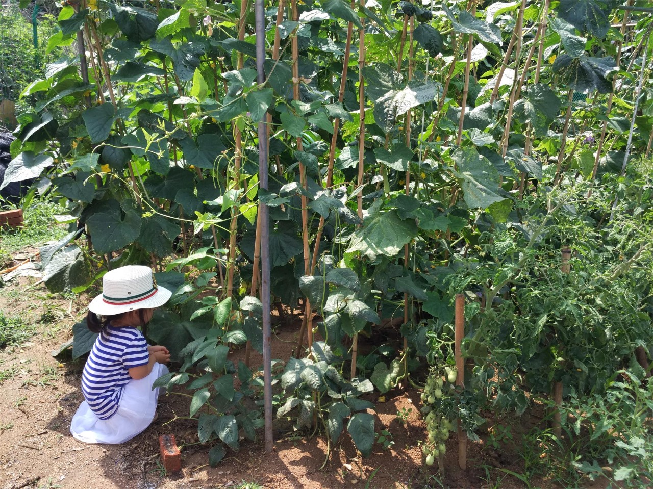 青島·町舍，風(fēng)花雪月的景卻歷久彌新！