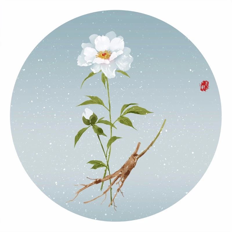 清新古風(fēng)花卉插畫，清雅如詩的插畫圖片