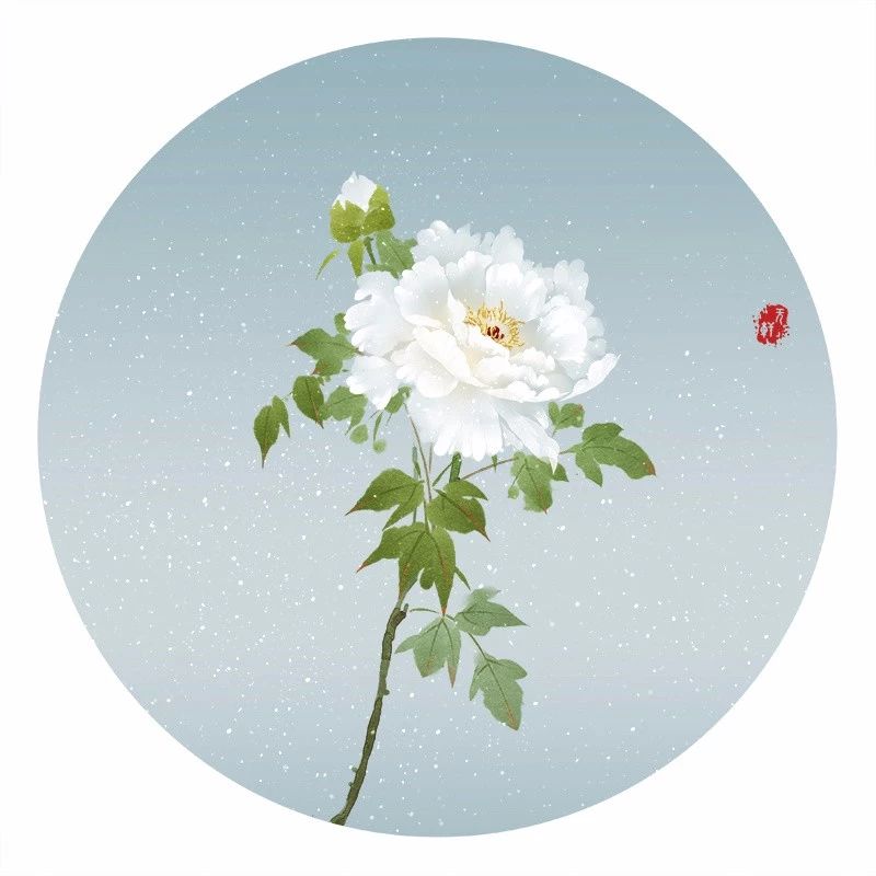 清新古風(fēng)花卉插畫，清雅如詩的插畫圖片