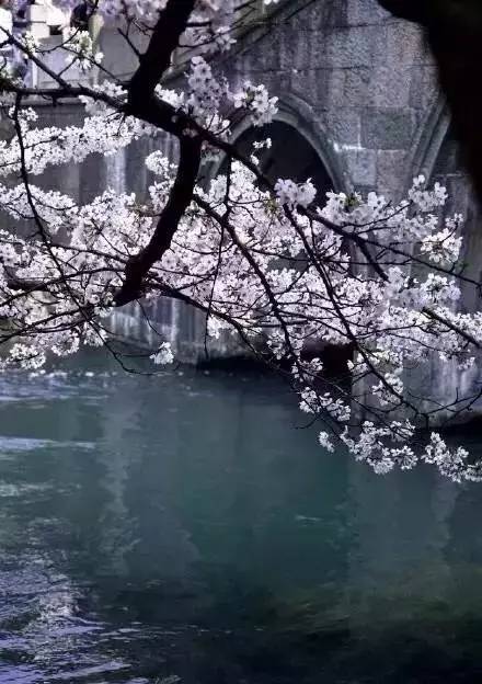 最美江南風景：人間最憶江南春