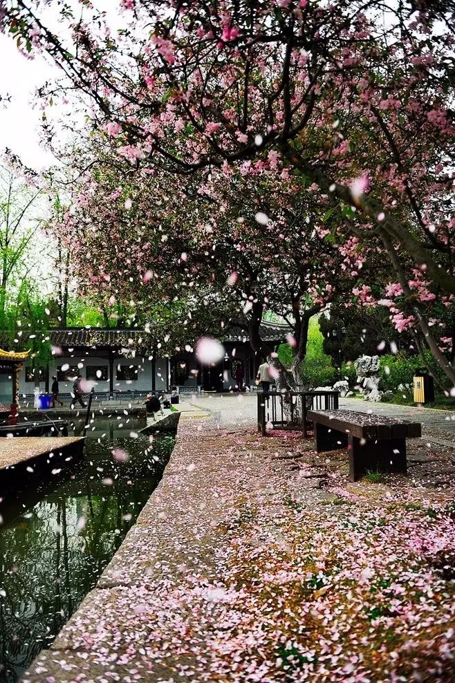 最美江南風景：人間最憶江南春