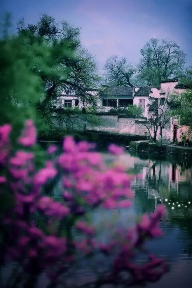 最美江南風景：人間最憶江南春