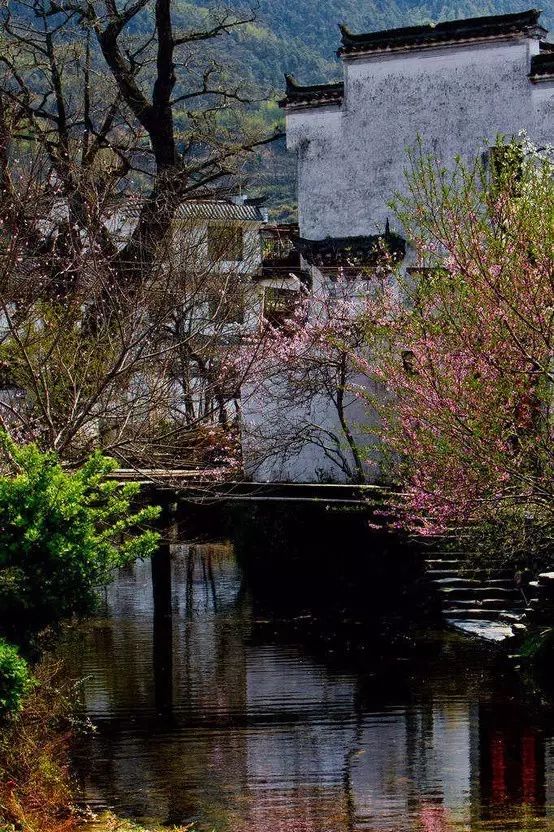 最美江南風景：人間最憶江南春