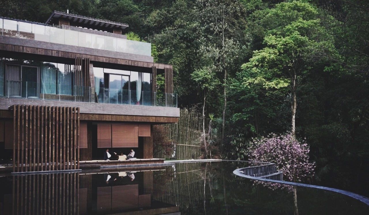 成都·坐忘森林，一宿一悟在火鍋之城住森林里