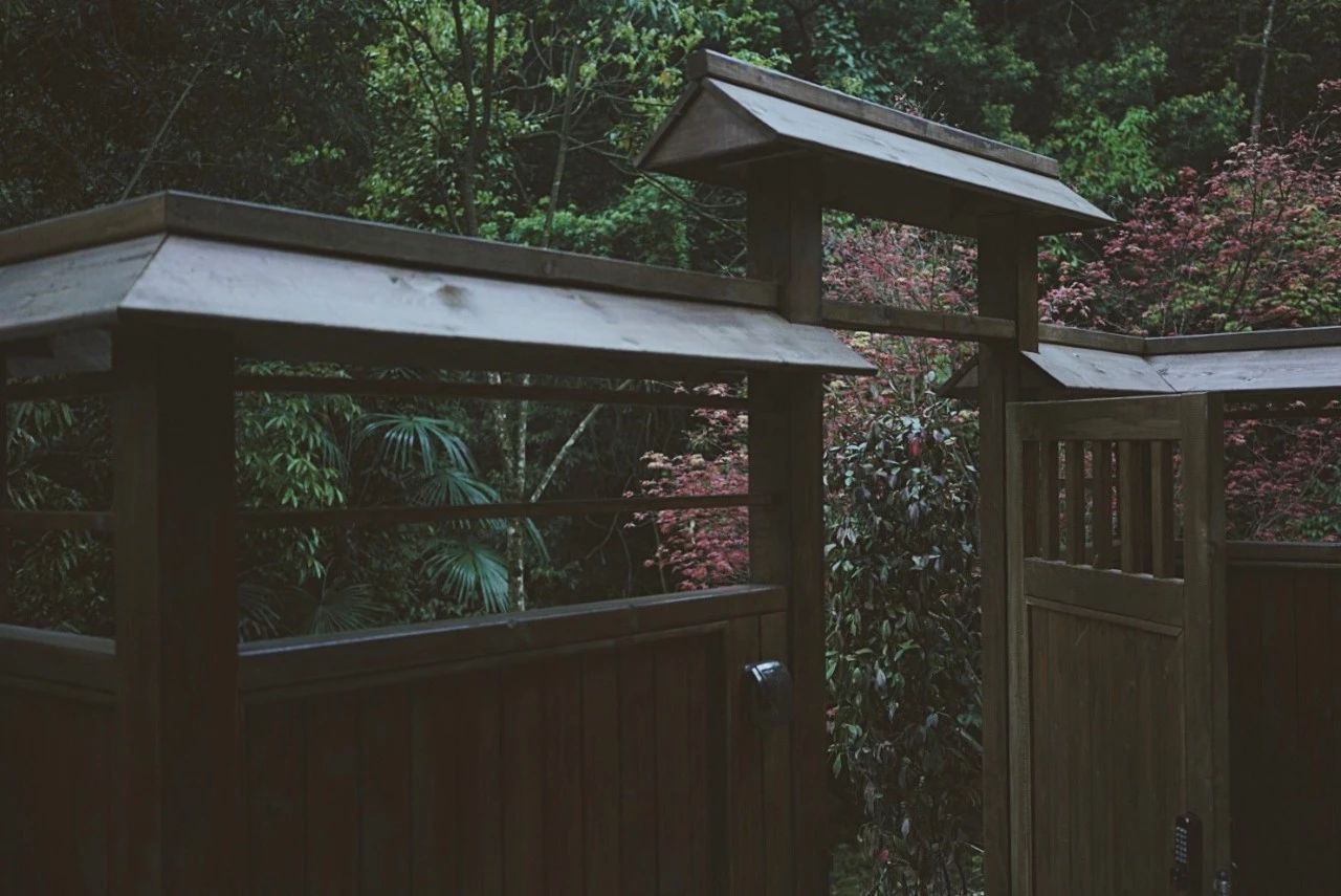 成都·坐忘森林，一宿一悟在火鍋之城住森林里