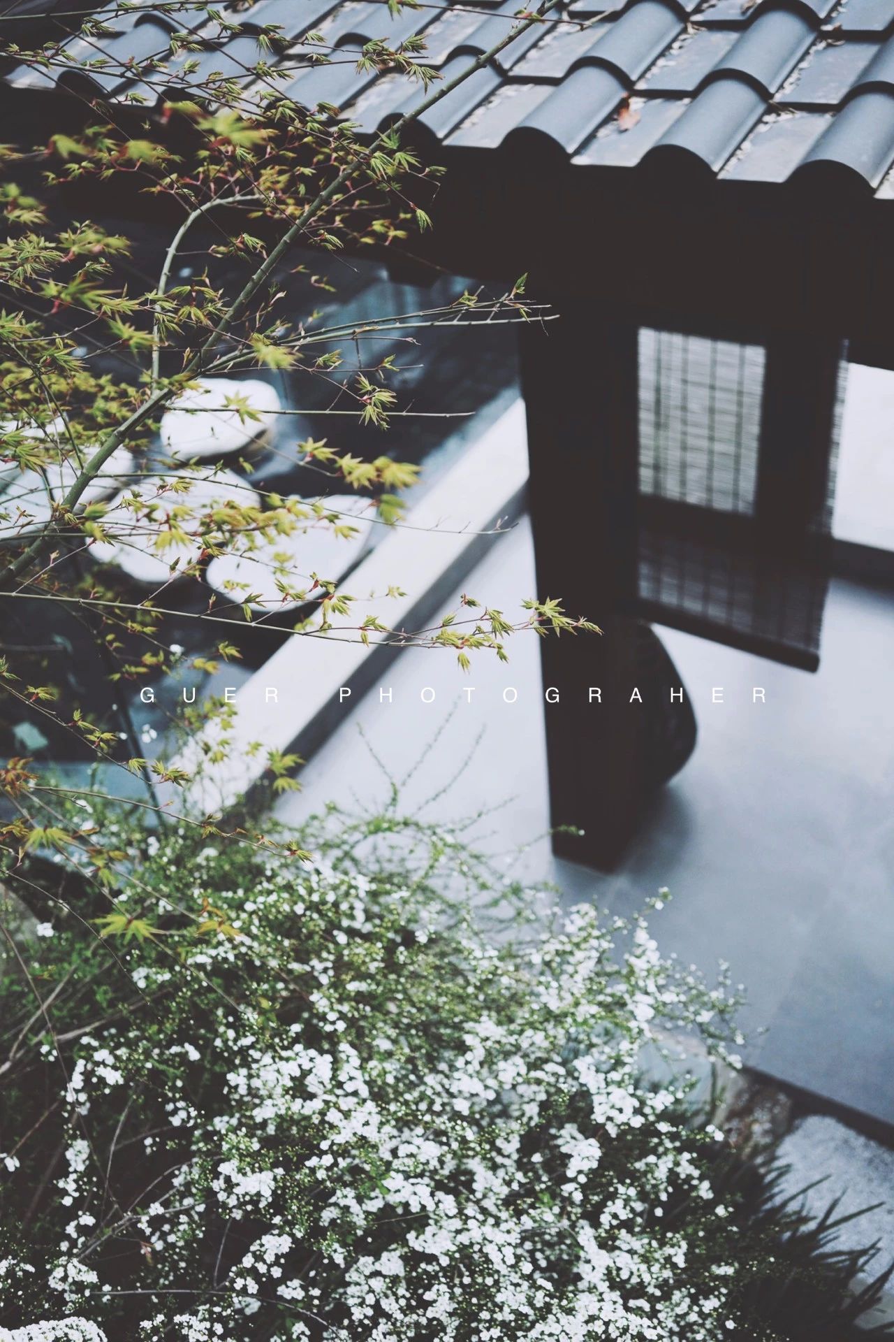 成都·坐忘森林，一宿一悟在火鍋之城住森林里