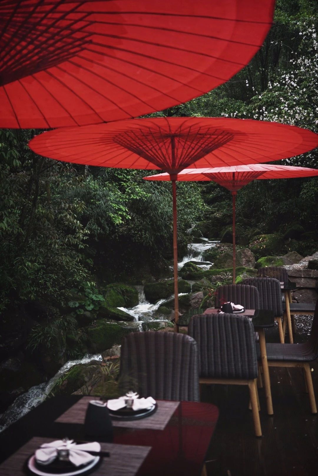 成都·坐忘森林，一宿一悟在火鍋之城住森林里