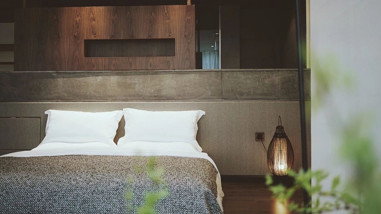 成都·坐忘森林，一宿一悟在火鍋之城住森林里