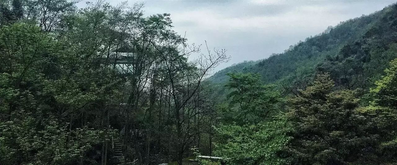 山中·隱宿：三款不錯的民宿設計只為與你相遇