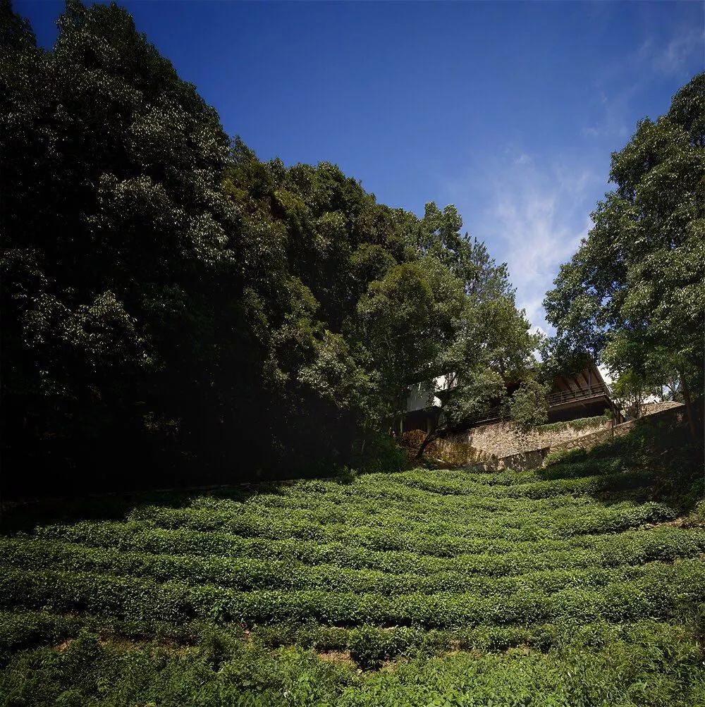 山中·隱宿：三款不錯的民宿設計只為與你相遇