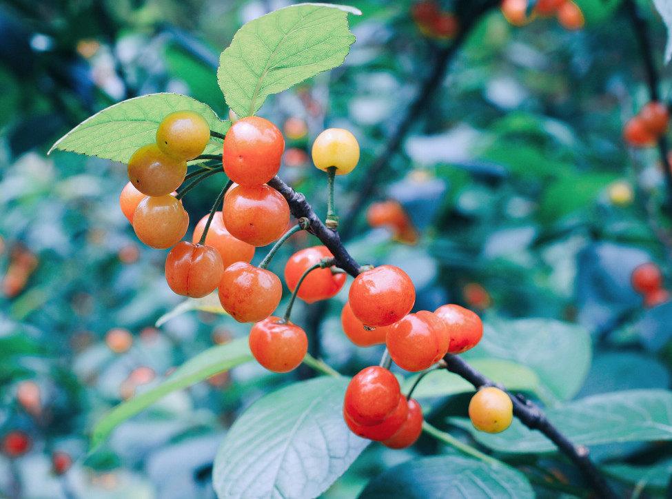 大樂之野·谷舍，遺忘的美好之地的正確打開方式