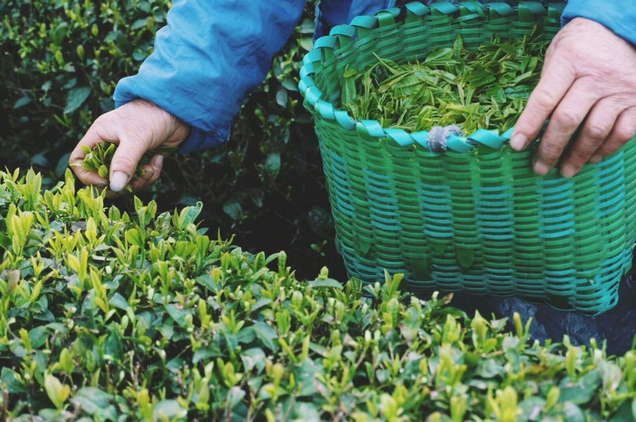 大樂之野·谷舍，遺忘的美好之地的正確打開方式