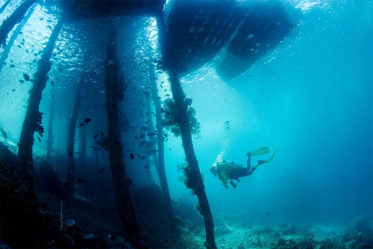 大理·沐林苑，擇一處小院賞四季明媚