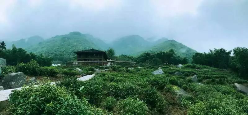 九華山·開元美途，置身俗塵外身心天地寬