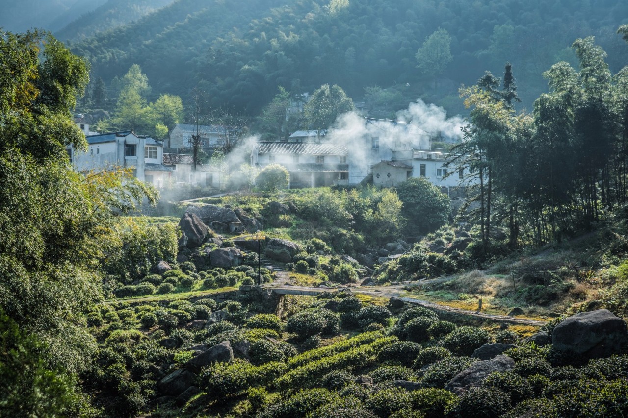 九華山·開元美途，置身俗塵外身心天地寬