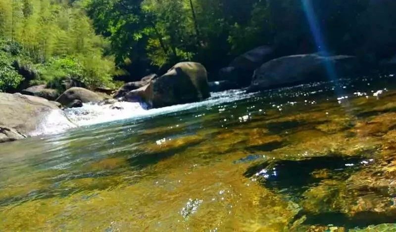 九華山·開(kāi)元美途，置身俗塵外身心天地寬