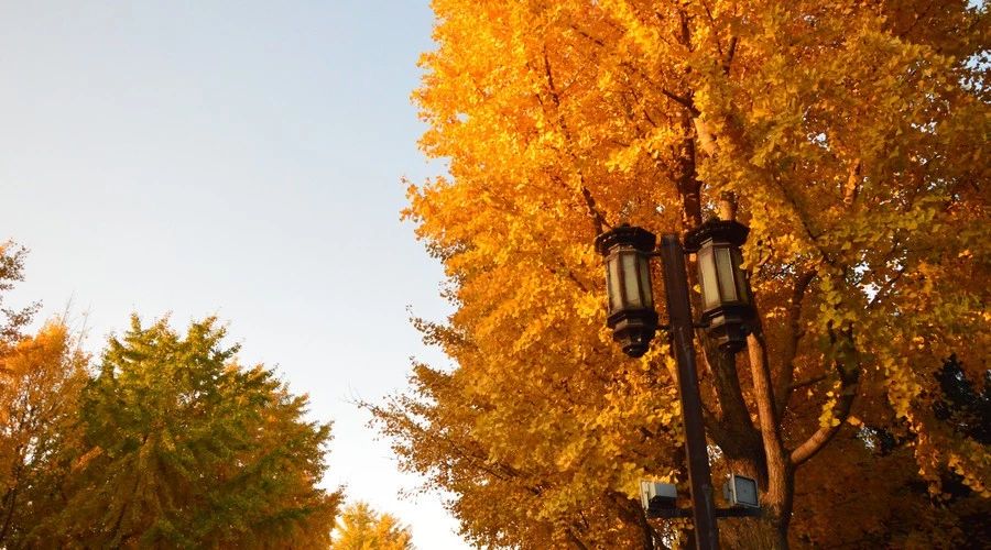 九華山·開元美途，置身俗塵外身心天地寬