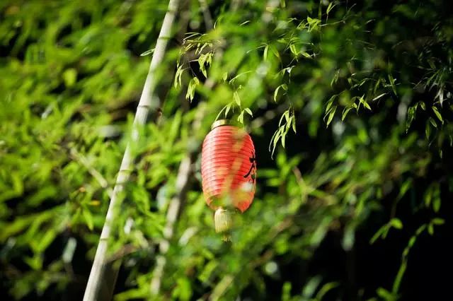 九華山·開元美途，置身俗塵外身心天地寬