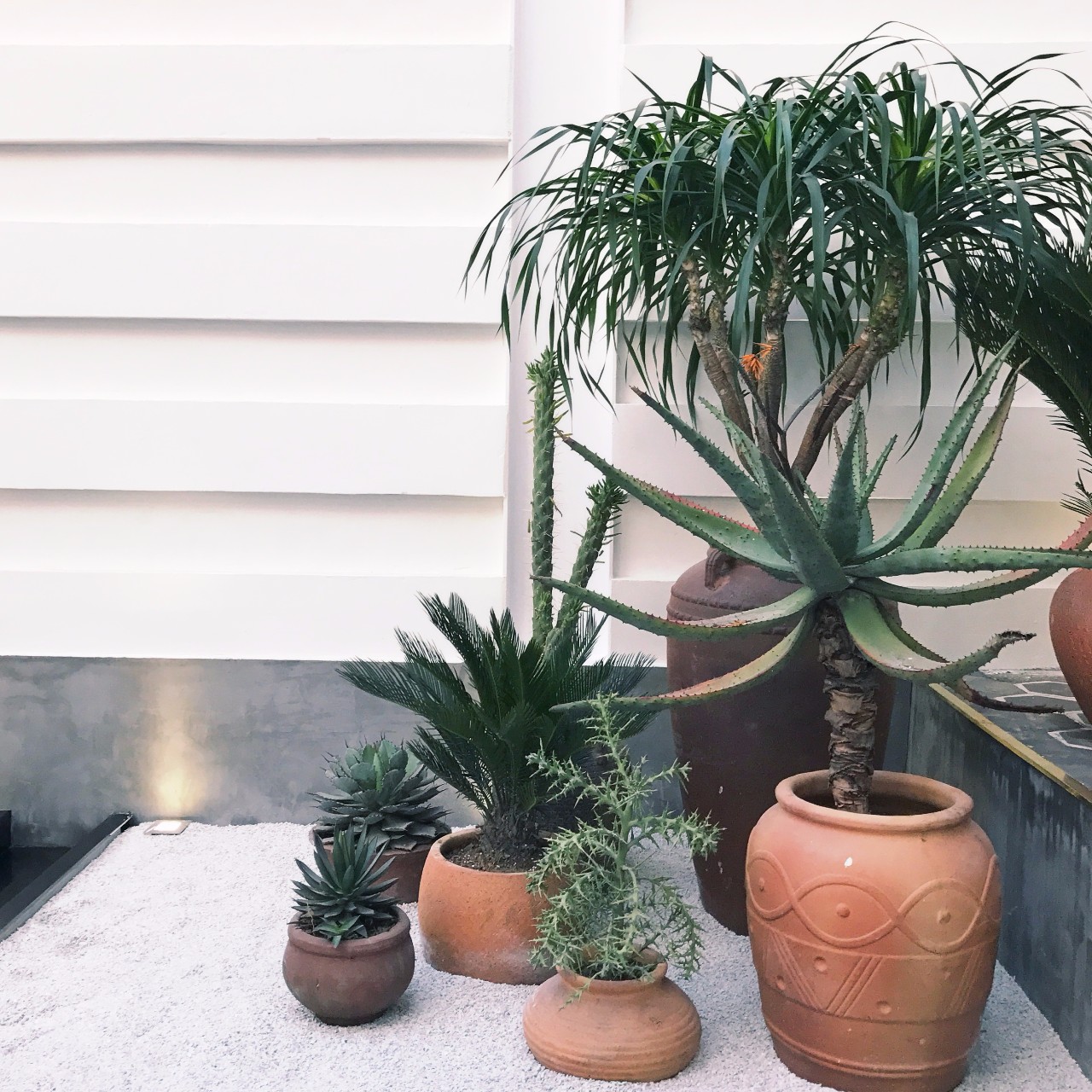 心湖·尚客堂，時(shí)光尚好待客尋來