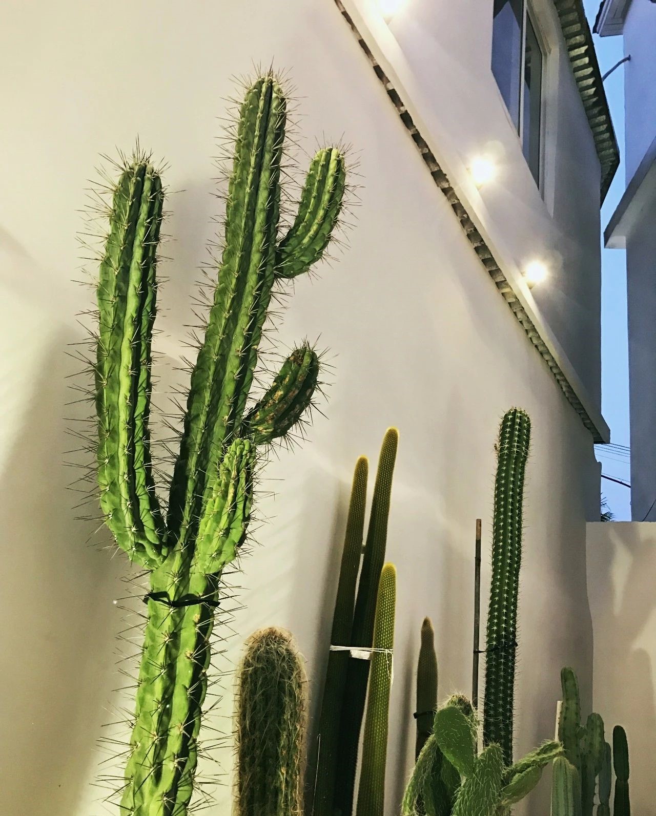 心湖·尚客堂，時(shí)光尚好待客尋來