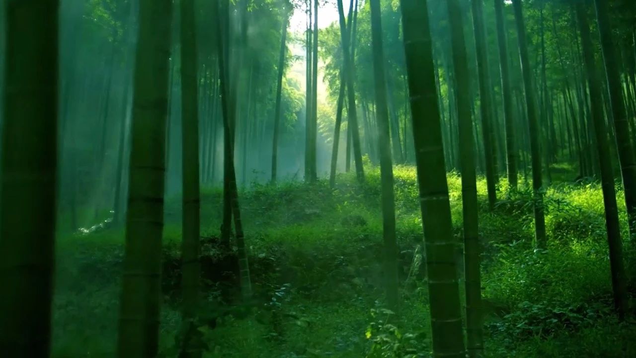 德清·莫干山諾富特酒店，找回初心永遠不晚