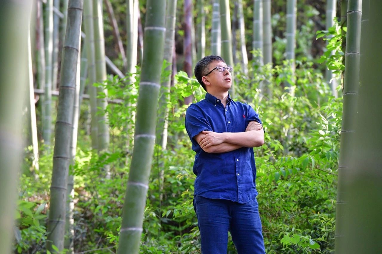 德清·莫干山諾富特酒店，找回初心永遠不晚