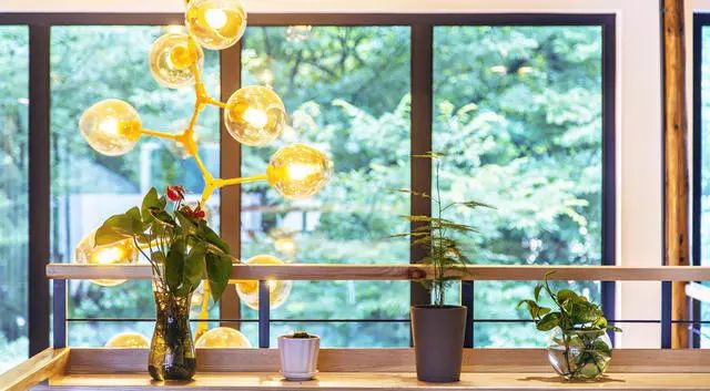 大樂之野·長(zhǎng)丘田，許下每一個(gè)諾言都令人期待