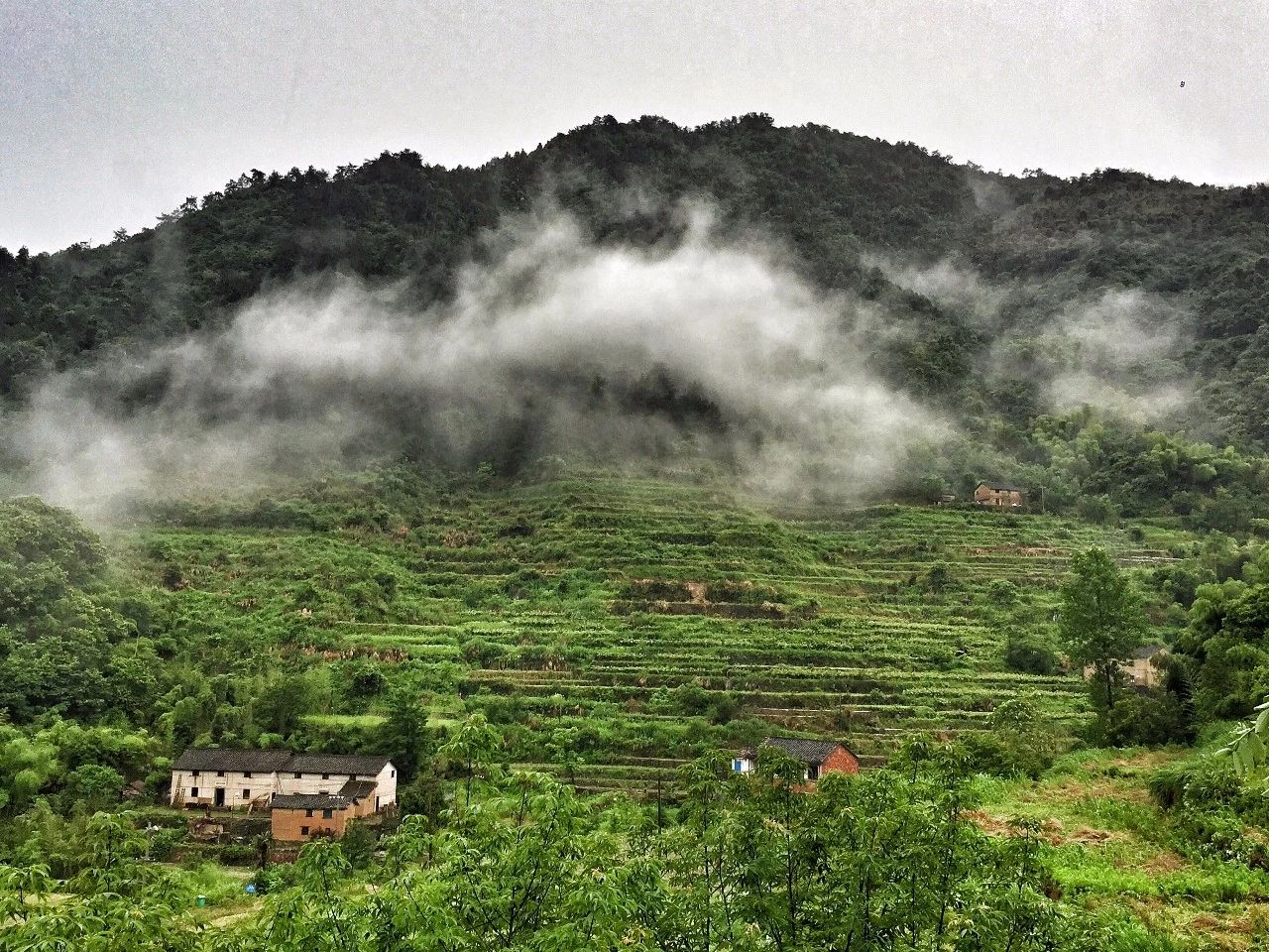 大樂之野·長丘田，許下每一個諾言都令人期待