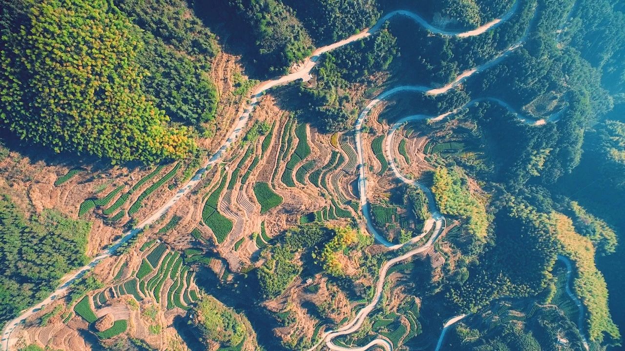 大樂之野·長(zhǎng)丘田，許下每一個(gè)諾言都令人期待