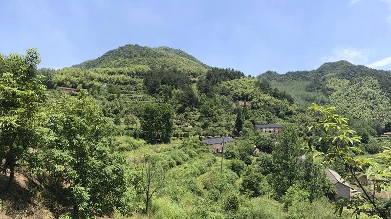 大樂之野·長丘田，許下每一個諾言都令人期待