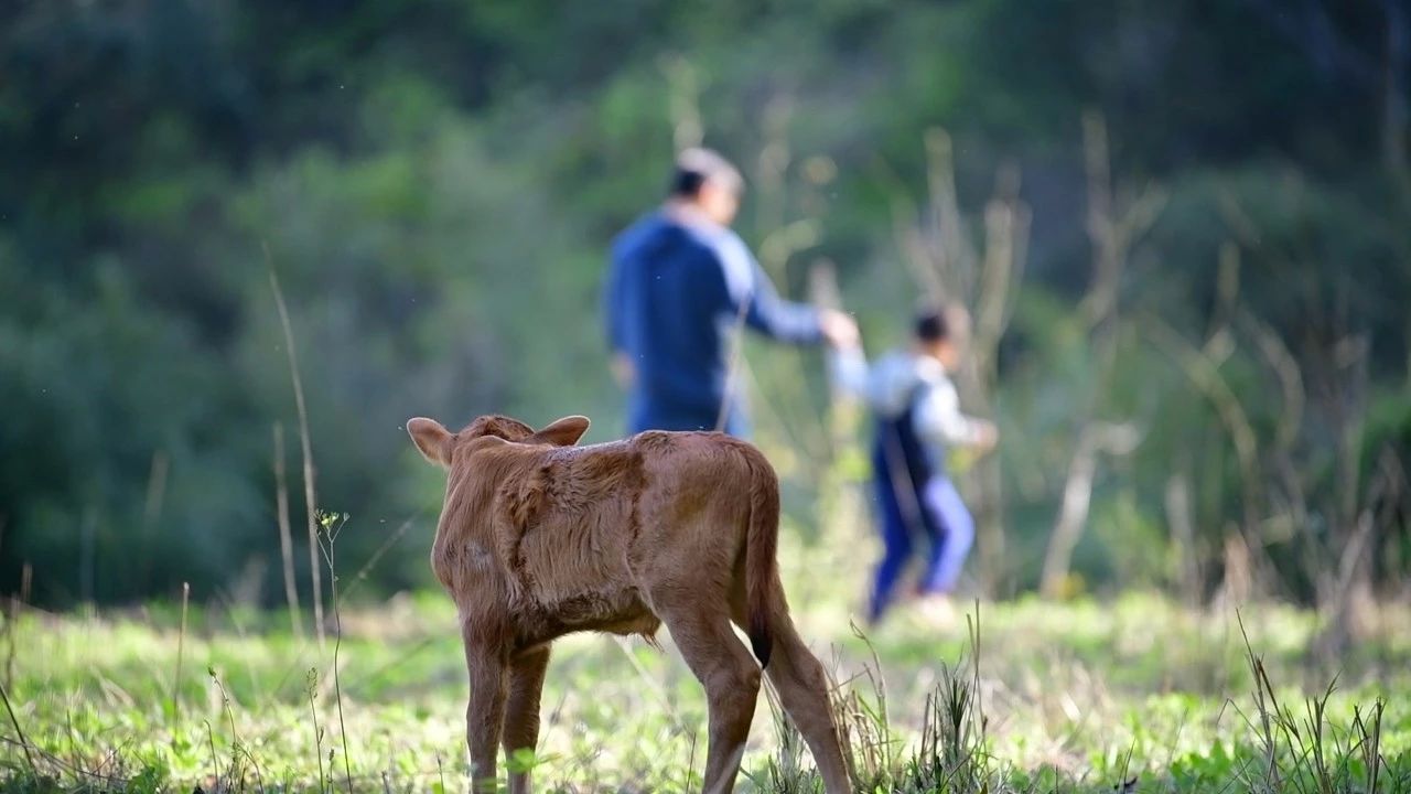 大樂之野·長丘田，許下每一個諾言都令人期待