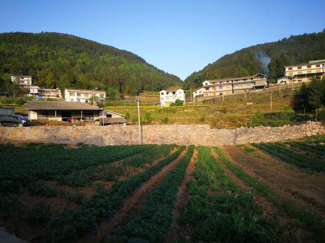 智派公寓，工作不如意的時(shí)候生活還能擁抱你！