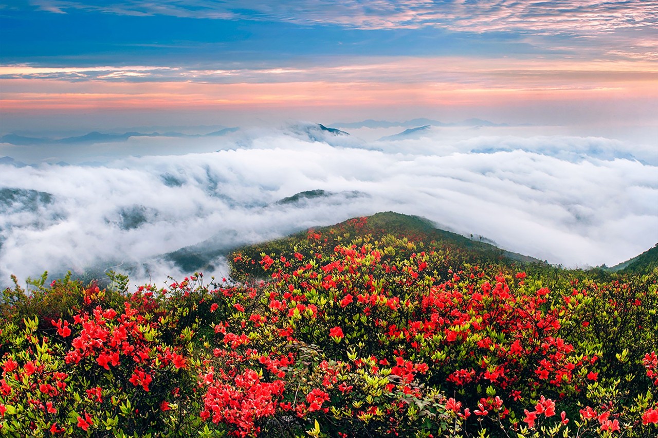 麗水云和·在田間，中國傳統(tǒng)水墨山水的意境