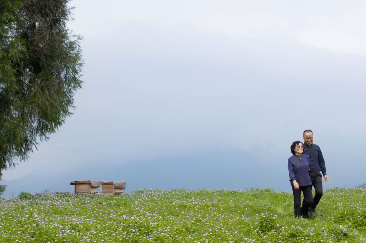 麗水云和·在田間，中國(guó)傳統(tǒng)水墨山水的意境