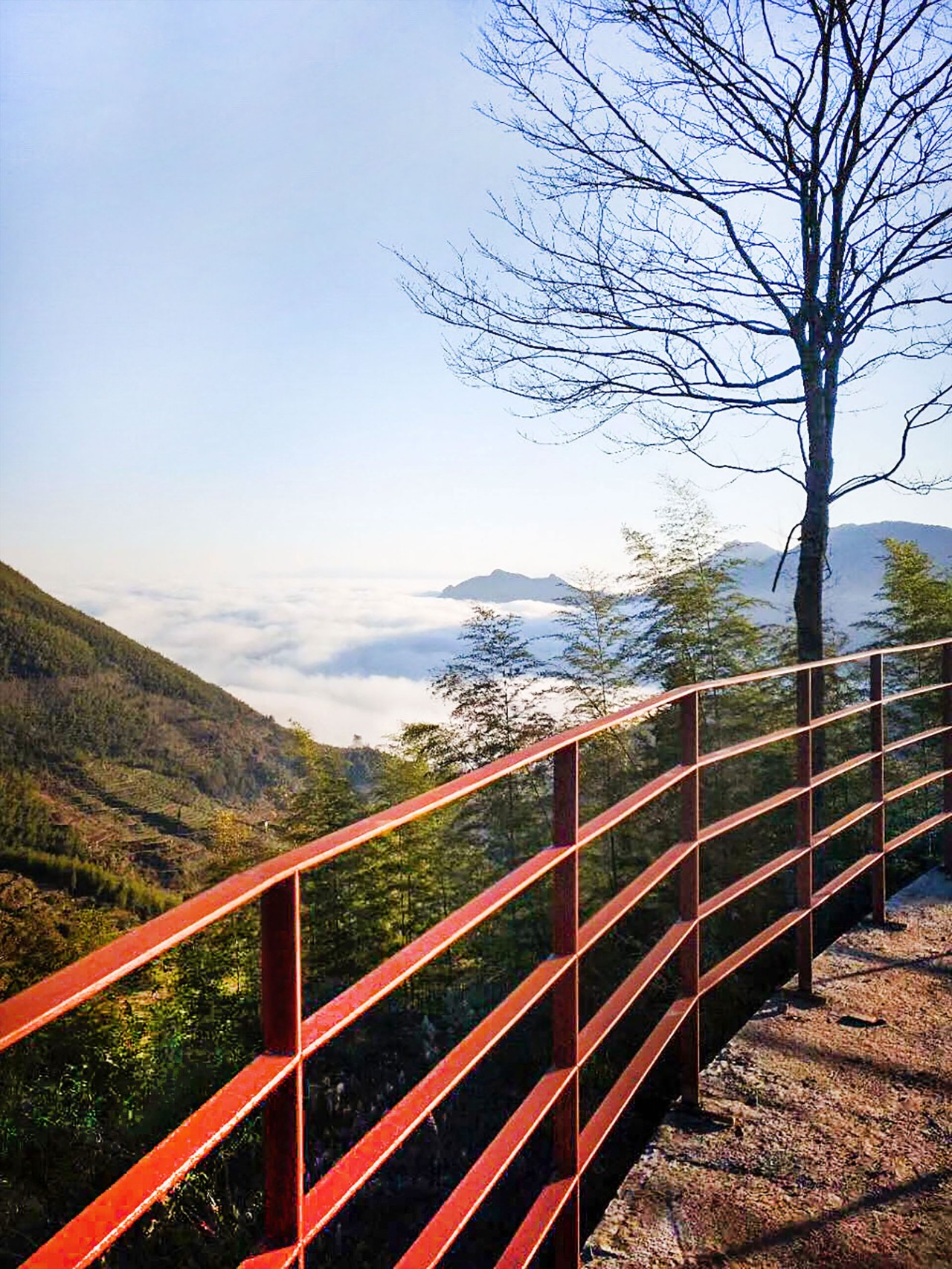 麗水云和·在田間，中國(guó)傳統(tǒng)水墨山水的意境