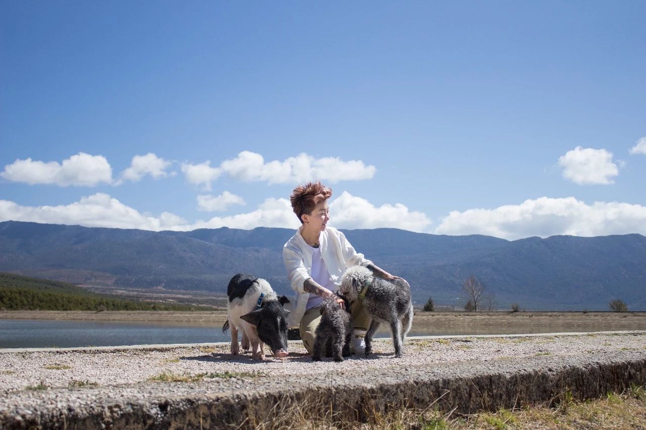 麗江·浮云社，將一切凡塵俗世都看作浮云