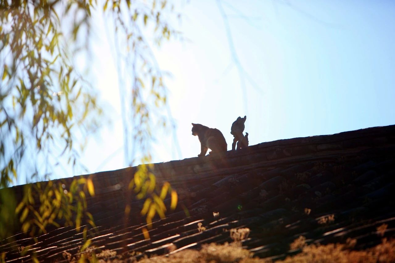 麗江·浮云社，將一切凡塵俗世都看作浮云