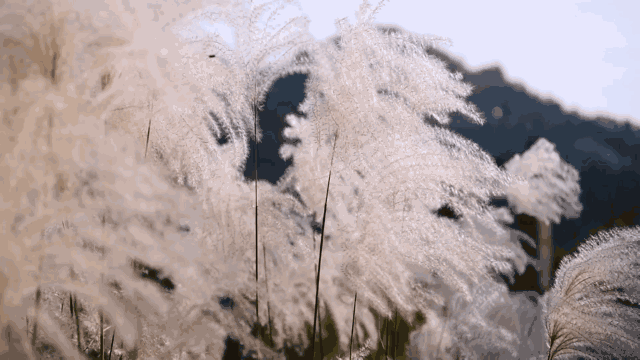 麻城·云夢如故，山里的房子就該有山里的味道