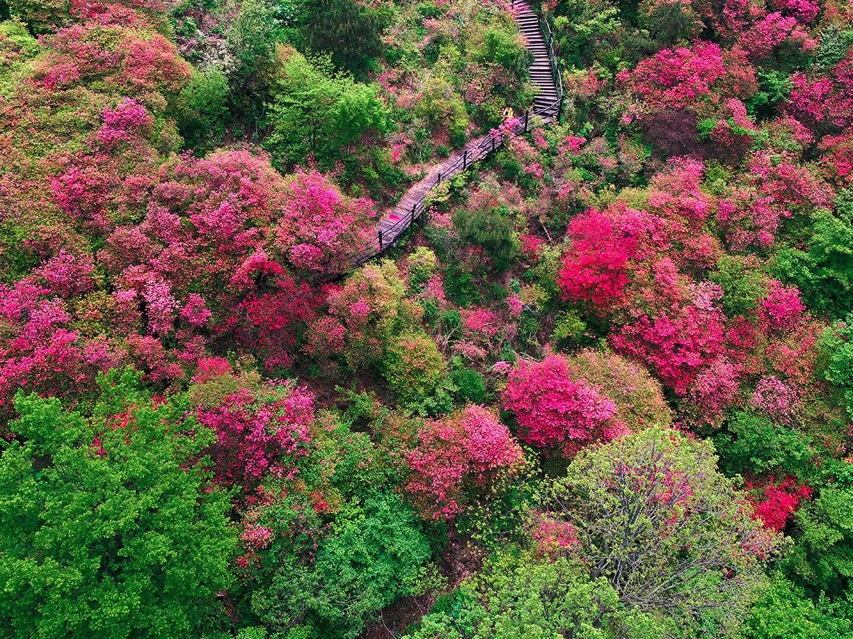 麻城·云夢如故，山里的房子就該有山里的味道