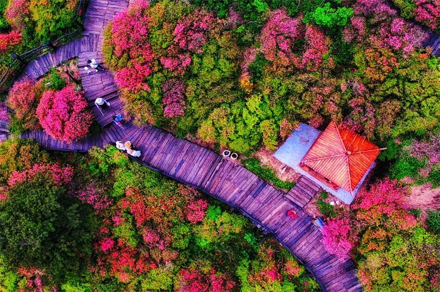 麻城·云夢如故，山里的房子就該有山里的味道