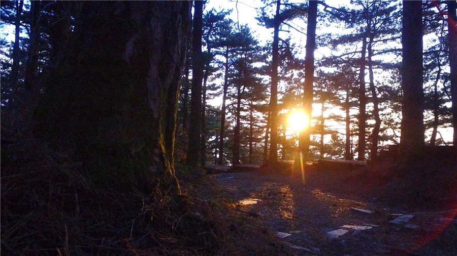 麻城·云夢(mèng)如故，山里的房子就該有山里的味道