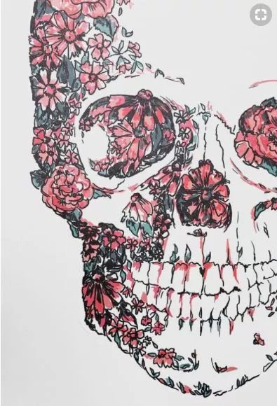 一組手繪骷髏頭插畫，猶如帶刺的玫瑰！