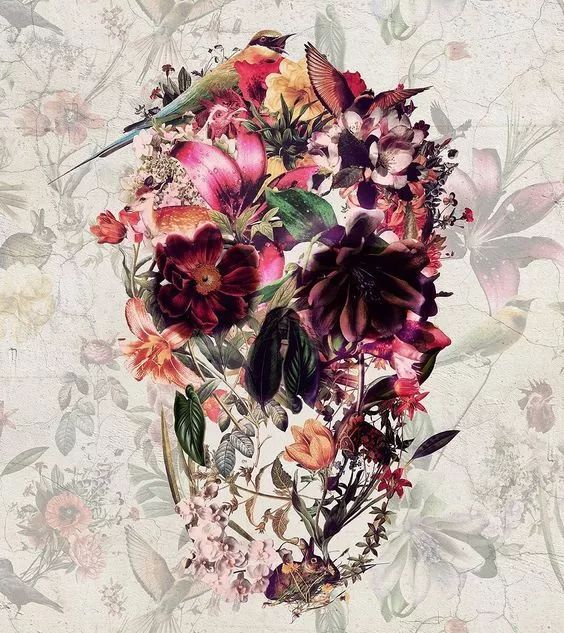 一組手繪骷髏頭插畫，猶如帶刺的玫瑰！