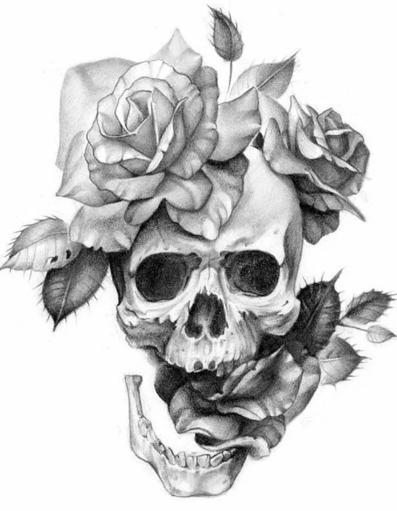 一組手繪骷髏頭插畫(huà)，猶如帶刺的玫瑰！