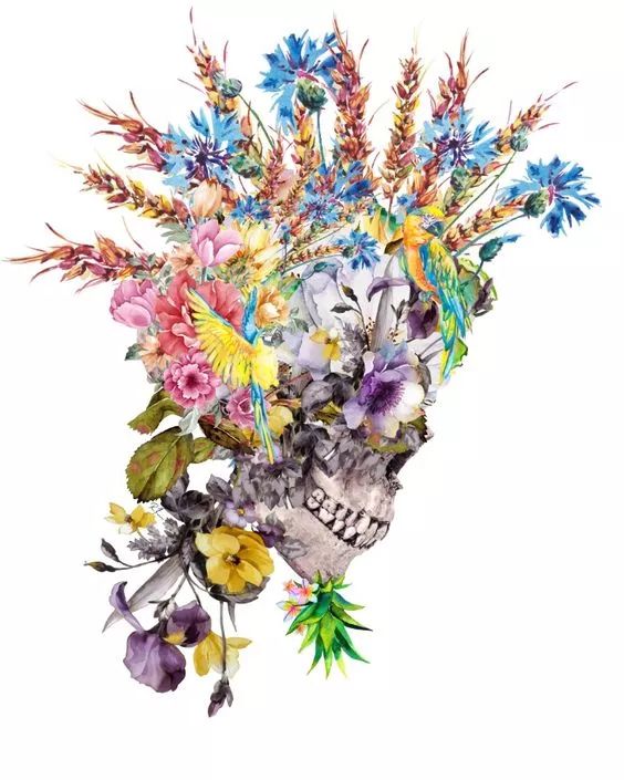 一組手繪骷髏頭插畫，猶如帶刺的玫瑰！