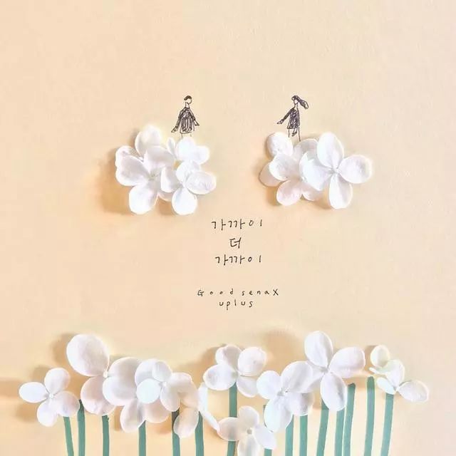 一組創(chuàng)意花瓣插畫，小清新唯美手繪插畫