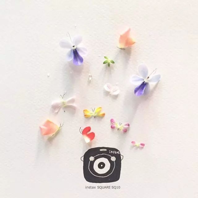 一組創(chuàng)意花瓣插畫，小清新唯美手繪插畫