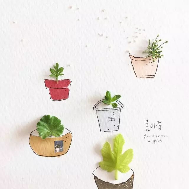 一組創(chuàng)意花瓣插畫，小清新唯美手繪插畫