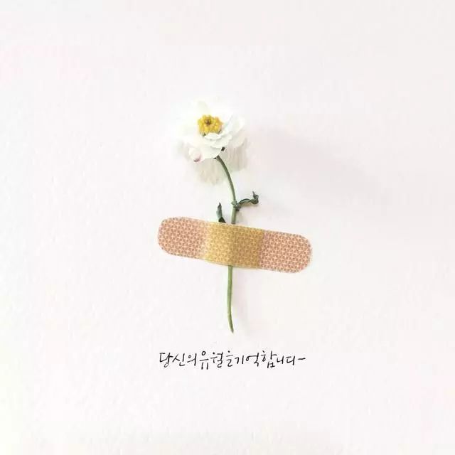 一組創(chuàng)意花瓣插畫，小清新唯美手繪插畫