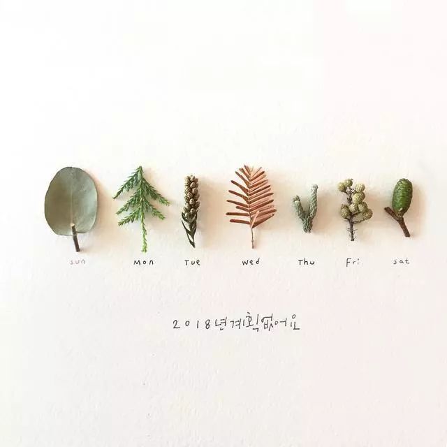 一組創(chuàng)意花瓣插畫，小清新唯美手繪插畫